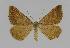  ( - BC EF Alc 00400)  @14 [ ] Copyright (2010) Unspecified Research Collection of Egbert Friedrich