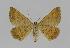  ( - BC EF Alc 00400)  @13 [ ] Copyright (2010) Unspecified Research Collection of Egbert Friedrich