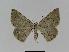  ( - BC EF Alc 00402)  @14 [ ] Copyright (2010) Unspecified Research Collection of Egbert Friedrich