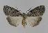  ( - BC EF Alc 00408)  @14 [ ] Copyright (2010) Unspecified Research Collection of Egbert Friedrich