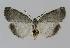  ( - BC EF Alc 00408)  @13 [ ] Copyright (2010) Unspecified Research Collection of Egbert Friedrich