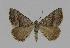 ( - BC EF Alc 00409)  @14 [ ] Copyright (2010) Unspecified Research Collection of Egbert Friedrich