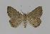  ( - BC EF Alc 00409)  @13 [ ] Copyright (2010) Unspecified Research Collection of Egbert Friedrich