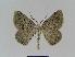 ( - BC EF Alc 00413)  @14 [ ] Copyright (2010) Unspecified Research Collection of Egbert Friedrich