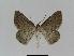  ( - BC EF Alc 00413)  @12 [ ] Copyright (2010) Unspecified Research Collection of Egbert Friedrich