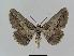  ( - BC EF Alc 00416)  @14 [ ] Copyright (2010) Unspecified Research Collection of Egbert Friedrich