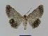  ( - BC EF Alc 00416)  @14 [ ] Copyright (2010) Unspecified Research Collection of Egbert Friedrich
