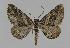  ( - BC EF Alc 00421)  @14 [ ] Copyright (2010) Unspecified Research Collection of Egbert Friedrich