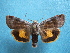  ( - BC FGJ Lep 00003)  @14 [ ] Unspecified (default): All Rights Reserved  Unspecified Unspecified
