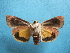  ( - BC FGJ Lep 00003)  @14 [ ] Unspecified (default): All Rights Reserved  Unspecified Unspecified