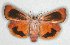  ( - BC FGJ Lep 00008)  @14 [ ] Unspecified (default): All Rights Reserved  Unspecified Unspecified