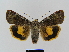  ( - BC FGJ Lep 01750)  @14 [ ] Unspecified (default): All Rights Reserved  Unspecified Unspecified