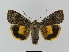  ( - BC FGJ Lep 01751)  @14 [ ] Unspecified (default): All Rights Reserved  Unspecified Unspecified