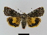  ( - BC FGJ Lep 01753)  @14 [ ] Unspecified (default): All Rights Reserved  Unspecified Unspecified