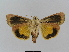  ( - BC FGJ Lep 01756)  @14 [ ] Unspecified (default): All Rights Reserved  Unspecified Unspecified