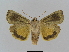  ( - BC FGJ Lep 01776)  @13 [ ] Unspecified (default): All Rights Reserved  Unspecified Unspecified