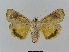  ( - BC FGJ Lep 01777)  @13 [ ] Unspecified (default): All Rights Reserved  Unspecified Unspecified