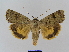  ( - BC FGJ Lep 01778)  @14 [ ] Unspecified (default): All Rights Reserved  Unspecified Unspecified