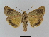  ( - BC FGJ Lep 01778)  @14 [ ] Unspecified (default): All Rights Reserved  Unspecified Unspecified