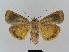  ( - BC FGJ Lep 01780)  @14 [ ] Unspecified (default): All Rights Reserved  Unspecified Unspecified