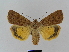  ( - BC FGJ Lep 01781)  @14 [ ] Unspecified (default): All Rights Reserved  Unspecified Unspecified