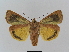  ( - BC FGJ Lep 01781)  @14 [ ] Unspecified (default): All Rights Reserved  Unspecified Unspecified