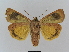  ( - BC FGJ Lep 01782)  @14 [ ] Unspecified (default): All Rights Reserved  Unspecified Unspecified