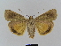  ( - BC FGJ Lep 01783)  @14 [ ] Unspecified (default): All Rights Reserved  Unspecified Unspecified