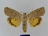  ( - BC FGJ Lep 01784)  @14 [ ] Unspecified (default): All Rights Reserved  Unspecified Unspecified