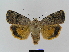  ( - BC FGJ Lep 01787)  @14 [ ] Unspecified (default): All Rights Reserved  Unspecified Unspecified
