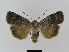  ( - BC FGJ Lep 01789)  @14 [ ] Unspecified (default): All Rights Reserved  Unspecified Unspecified