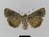  ( - BC FGJ Lep 01789)  @13 [ ] Unspecified (default): All Rights Reserved  Unspecified Unspecified