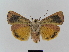  ( - BC FGJ Lep 01790)  @13 [ ] Unspecified (default): All Rights Reserved  Unspecified Unspecified