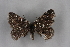  ( - BC NP 0193)  @11 [ ] Copyright (2010) Unspecified Research Collection of Norbert Poell