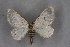  ( - BC NP 0201)  @13 [ ] Copyright (2010) Unspecified Research Collection of Norbert Poell