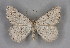  ( - BC NP 0259)  @11 [ ] Copyright (2010) Unspecified Research Collection of Norbert Poell