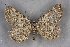  ( - BC NP 0284)  @14 [ ] Copyright (2010) Unspecified Research Collection of Norbert Poell