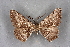  ( - BC NP 0293)  @11 [ ] Copyright (2010) Unspecified Research Collection of Norbert Poell