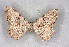  ( - BC NP 0294)  @12 [ ] Copyright (2010) Unspecified Research Collection of Norbert Poell