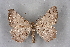  ( - BC NP 0296)  @11 [ ] Copyright (2010) Unspecified Research Collection of Norbert Poell