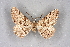  ( - BC NP 0298)  @11 [ ] Copyright (2010) Unspecified Research Collection of Norbert Poell