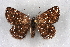  ( - BC NP 0305)  @14 [ ] Copyright (2010) Unspecified Research Collection of Norbert Poell