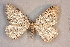  ( - BC NP 0320)  @14 [ ] Copyright (2010) Unspecified Research Collection of Norbert Poell