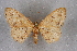  ( - BC NP 0373)  @11 [ ] Copyright (2010) Unspecified Research Collection of Norbert Poell