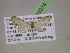 ( - BC ZSM Lep 05374)  @13 [ ] CreativeCommons - Attribution Non-Commercial Share-Alike (2010) Unspecified SNSB, Zoologische Staatssammlung Muenchen