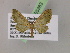  ( - BC ZSM Lep 05383)  @14 [ ] CreativeCommons - Attribution Non-Commercial Share-Alike (2010) Unspecified SNSB, Zoologische Staatssammlung Muenchen