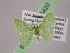  ( - BC ZSM Lep 05420)  @14 [ ] CreativeCommons - Attribution Non-Commercial Share-Alike (2010) Unspecified SNSB, Zoologische Staatssammlung Muenchen