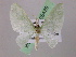  ( - BC ZSM Lep 05439)  @14 [ ] CreativeCommons - Attribution Non-Commercial Share-Alike (2010) Unspecified SNSB, Zoologische Staatssammlung Muenchen