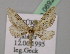  (Eupithecia AH03Tr - BC ZSM Lep 06925)  @14 [ ] CreativeCommons - Attribution Non-Commercial Share-Alike (2010) Unspecified SNSB, Zoologische Staatssammlung Muenchen