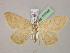  ( - BC ZSM Lep 07046)  @14 [ ] CreativeCommons - Attribution Non-Commercial Share-Alike (2010) Unspecified SNSB, Zoologische Staatssammlung Muenchen